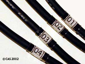  Labels On Mic Cables-Closeup